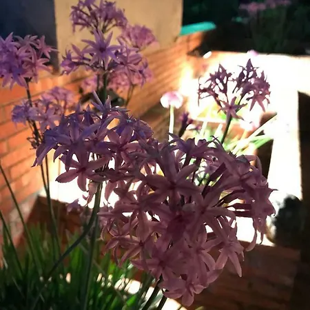 Holiday home Casa Silvy Sant'Alessio Siculo